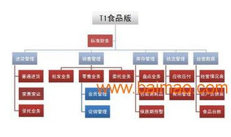 中山管家婆食品門店零售系統(tǒng)管理軟件 智能化管理解決方案，提升門店運營效率