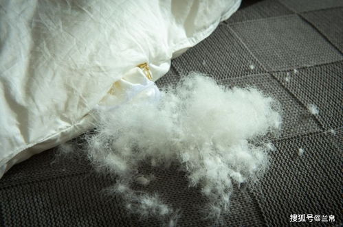 羽絨制品填充物真假難辨,六個生活小貼士教你選擇羽絨用品