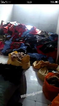 河南全面啟動羽絨制品回收與加工產(chǎn)業(yè)升級計劃