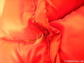 超輕面料羽絨制品鉆絨現象全解析 以事實說話，理性看待品質挑戰